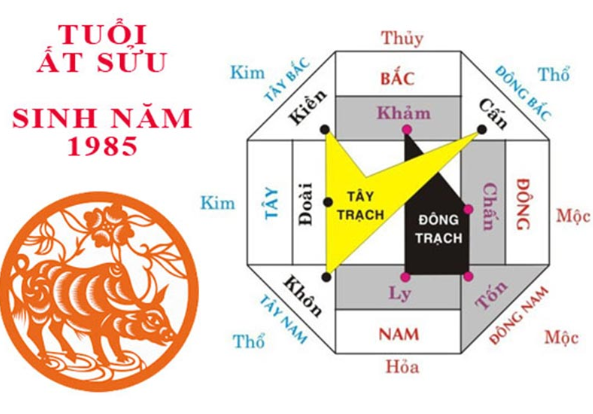 Hướng hợp tuổi Ất Sửu 1985